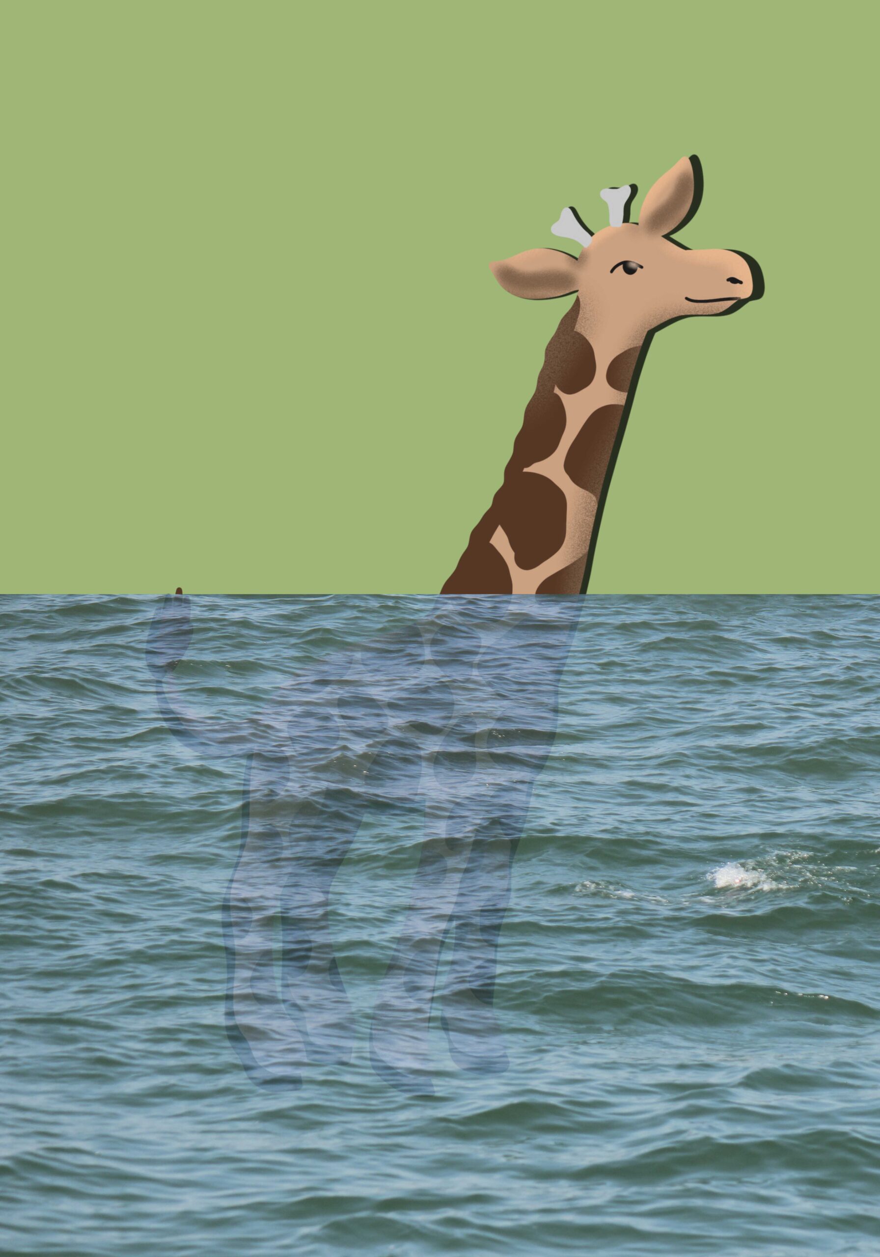 Can giraffes swim?