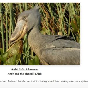 Andy and Shoebill chick