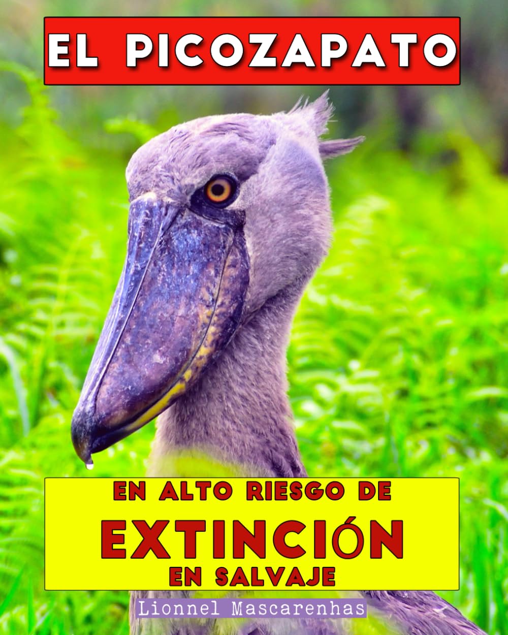 El picozapato: En alto riesgo de extinción en salvaje