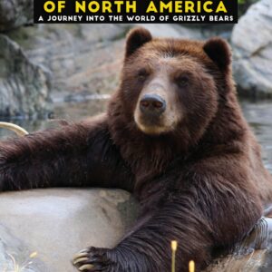 The Grizzly Bear of North America: A Journey into the World of Grizzly Bears