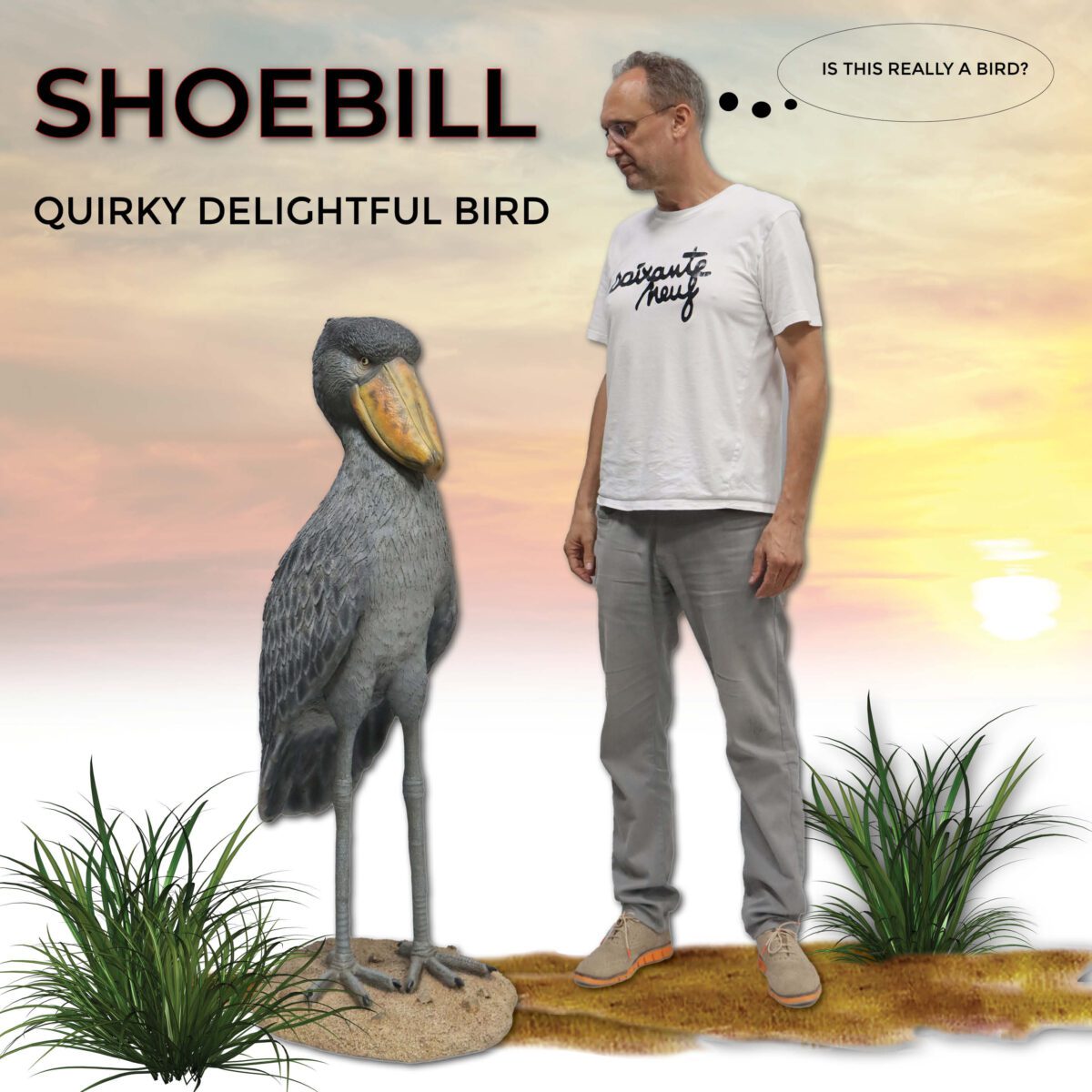 Shoebill Sculptures Now Available at Natureworks, Australia