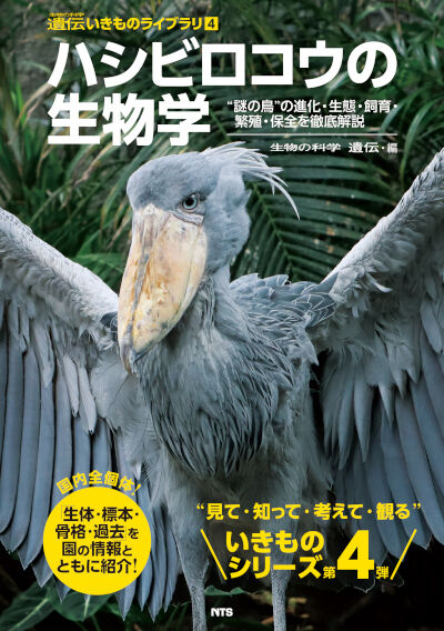 “The Biology of the Shoebill” book to be published by Satoshi Kusuda